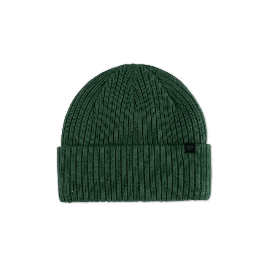 Forecast Beanie - Pine